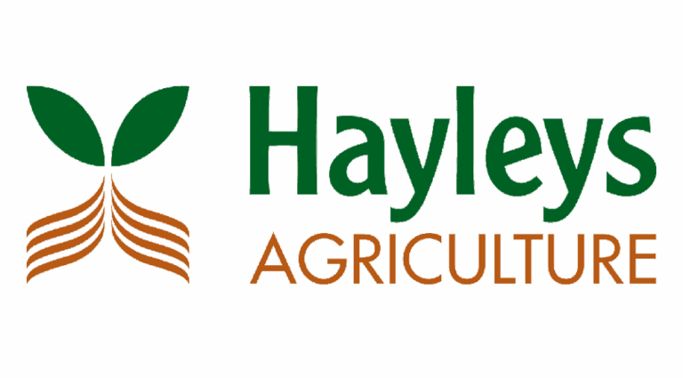 HAYLEYS